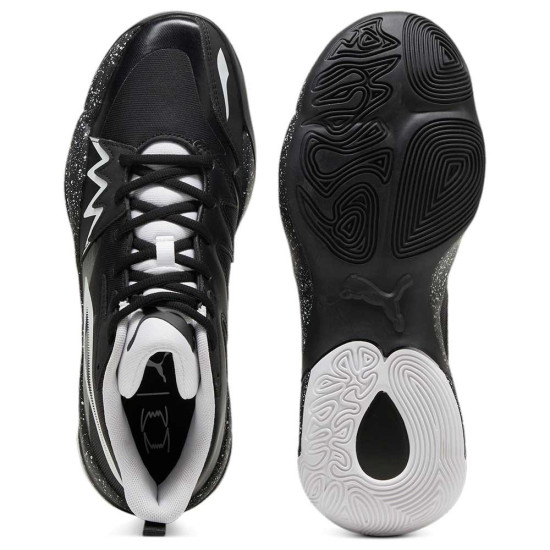 Puma Genetics Speckle Puma Genetics Speckle